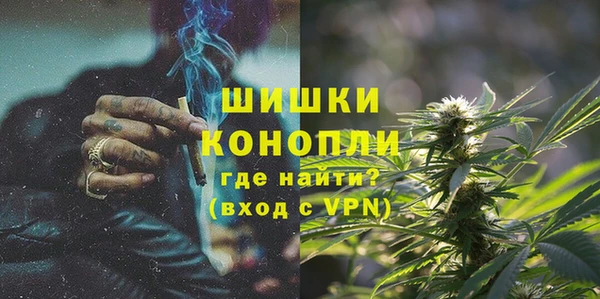 дурь Медвежьегорск