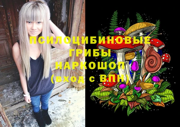 первитин Медногорск
