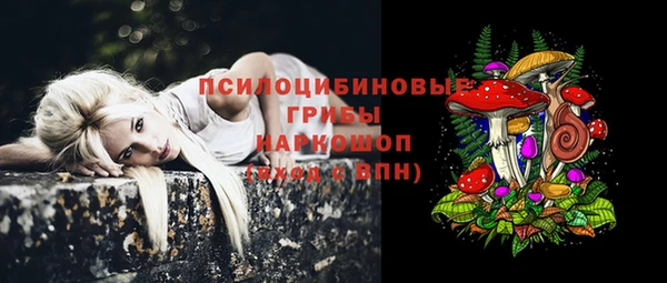 дурь Медвежьегорск