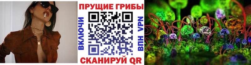 Купить где  Уяр  Псилоцибиновые грибы Psilocybe 